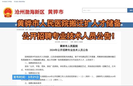 黄骅人才网，黄骅人才网——打造黄骅市最专业的人才服务平台
