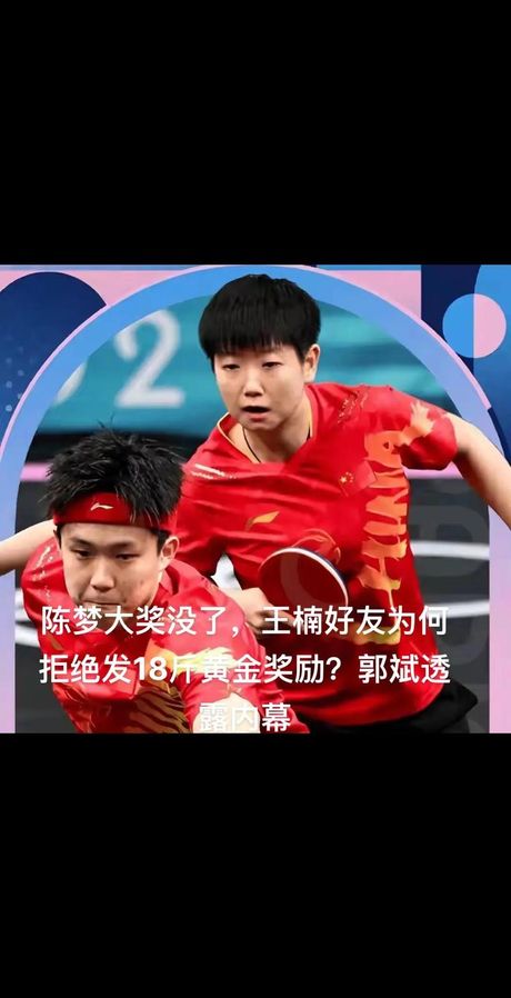 马龙王楚钦孙颖莎陈梦等主力退赛，马龙王楚钦孙颖莎陈梦等主力退赛引发大讨论