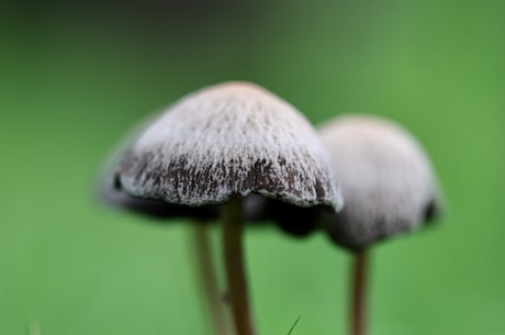 微信发十个红包十句话 吃亏是福
