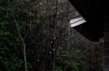 永济天气(【实时更新】永济天气预报：下雨了，出门记得带伞！)
