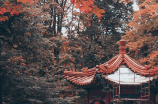 花园口决堤：中国水利工程的丰碑