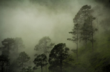 杨凌天气预报：雨后天气晴朗，适宜出行