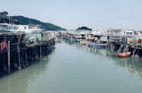 拮据的同义词 - 了无富裕：你了解吗？