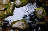 暴雨级别(中国今年暴雨级别达纪录新高，多地洪涝灾害)